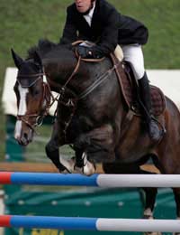 Showjumping Rules