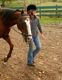 Horse Rider Child Buy Purchase Age Size