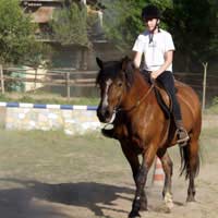 Horse Riding Tutor Horse Riding Tutor