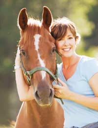 Stable Hand Horses Muck Out Clean Groom