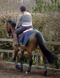 Horse Dressage Training Scale Manoeuvres