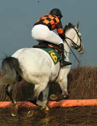 Horse Racing Jumps Obstacles