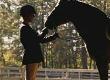 TLC: What Every Horse Needs