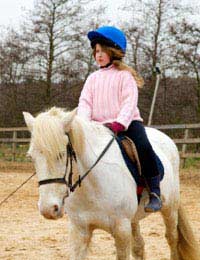 Categories Horses Riding Ponies