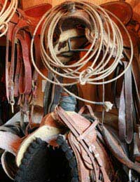 A Glossary Of Tack