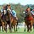 Riding the Grand National