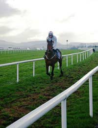 Horseracing Ireland Jockeys Trainers