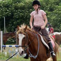 Riding School Expect Horses Instructors 
