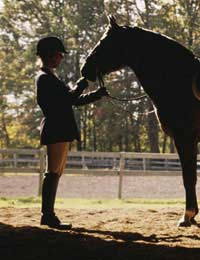 Tlc: What Every Horse Needs