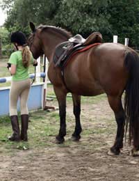 Riding School Find Local Recommendations