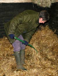 Stable Equipment Toys Tidy Food Mucking