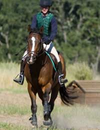 Horse Rider Borrow Rent Loan Partnership