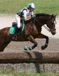 Riding Showjumping Competitions Rider