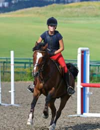 Showjumping Riding Equestrian
