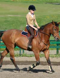 Children Showjumping Child Young Horse