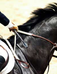 Crop Whip Riding Dressage Jockey Horse