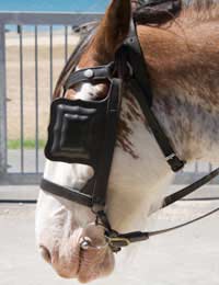 Blinkers Horse Reins Control Vision