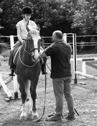 Horse Riding School Safety Measures