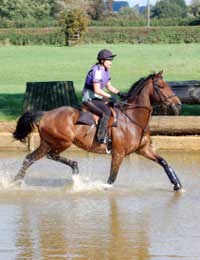 Ability Riding Lessons Categories