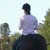 Exercising Your Horse