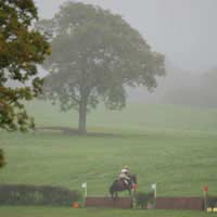 Eventing Three Day One Day Dressage All