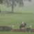 What is Eventing?