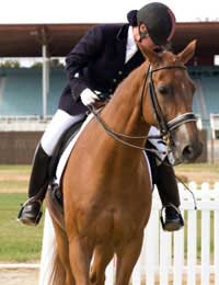 Three Day Event Eventing Eventer Rider