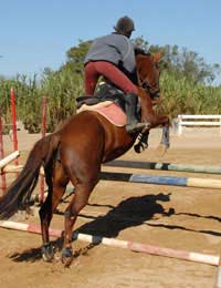 Horse Three Day Eventing Olympics Games