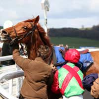 Dangers Dangerous Safe Safety Horse